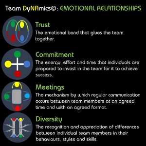 Ngagementworks Team DyNAmics Emotional Relationships
