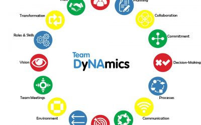 Do You Know How Effective Your Teamwork Is?